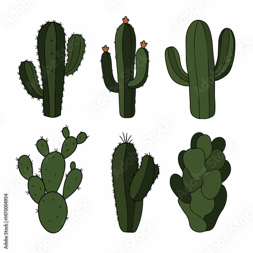 Cactus Collection: A vibrant illustration showcases a diverse collection of intricately designed cacti, each displaying unique shapes and textures.