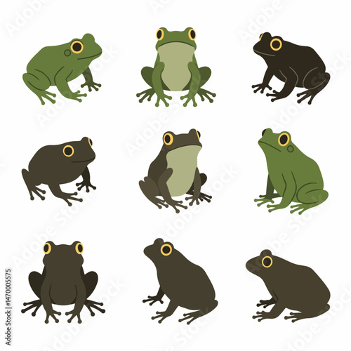 Frog Array: A collection of nine distinct frogs showcasing a spectrum of colors and poses. Captured with clean lines and flat, vibrant colors.