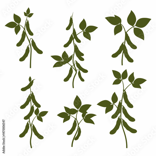 Soybean Plant Illustrations: Collection of stylized soybean plant illustrations, showcasing various growth stages and perspectives, perfect for agricultural or culinary designs.