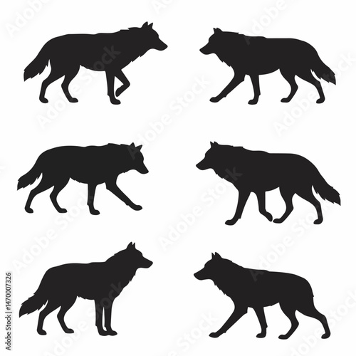 Shadow Wolves: A stark silhouette of solitary gray wolf against a flat backdrop, symbolizing wilderness and stealth.