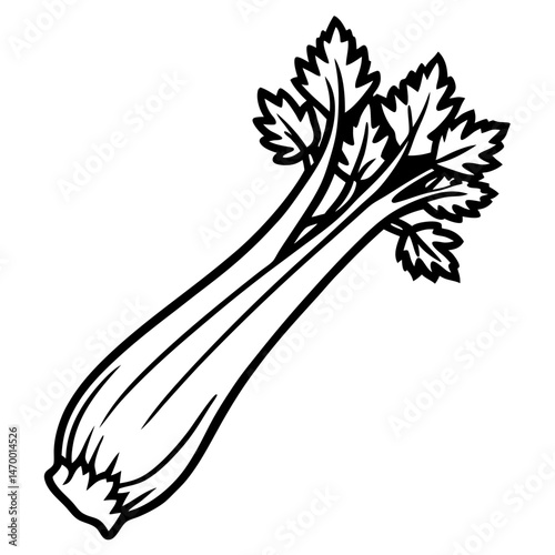 Celery line art vector