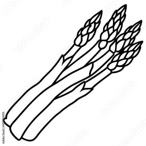 black and white asparagus stalks clip art preview