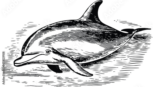 Vintage Engraving woodcut dolphin swimming retro vector art illustration design.	