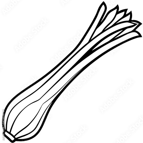 Leek line art vector