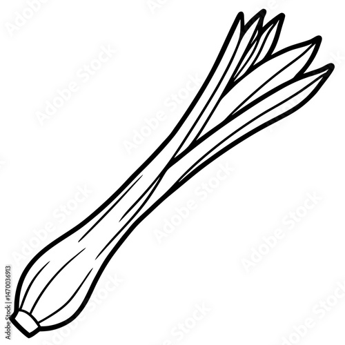 Leek line art vector