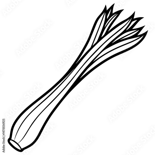 Leek line art vector