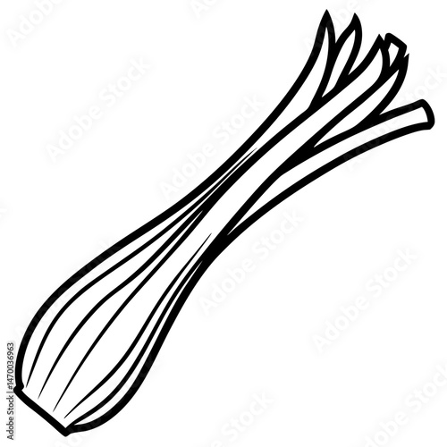 Leek line art vector
