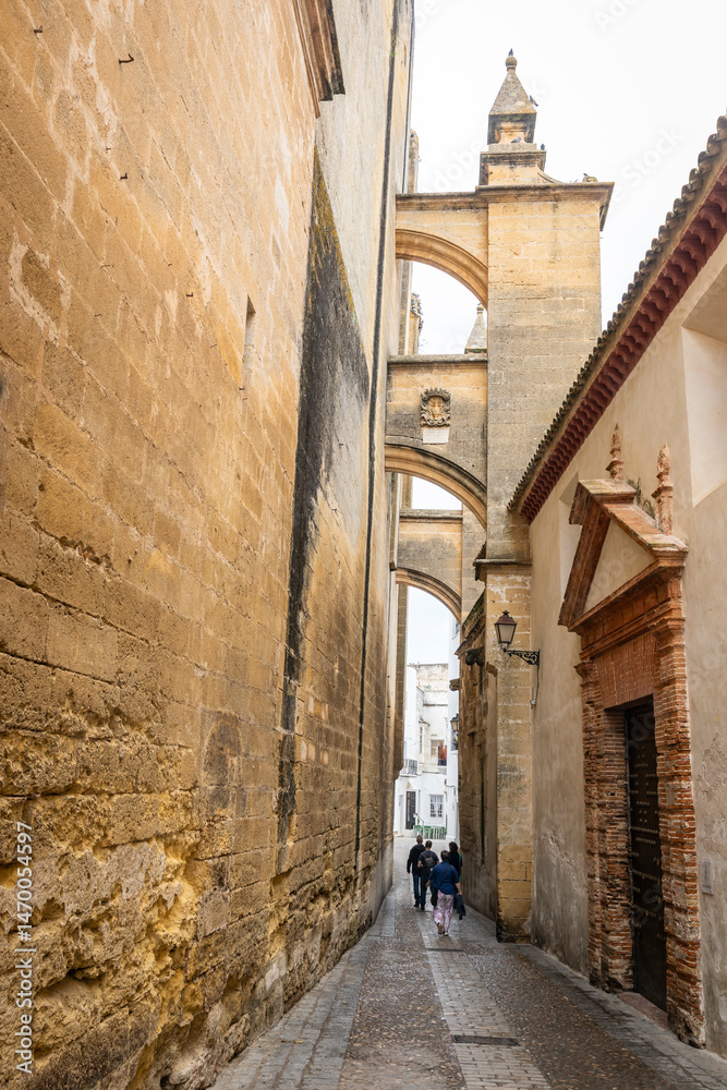 Obraz premium a cobbled street at the rear side of the Basilica of Saint Mary of the Assumption in Arcos de la Frontera, province of Cádiz, Andalusia, Spain