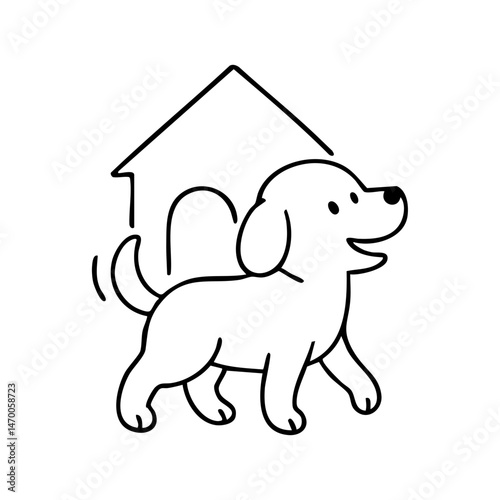 Dog Activity at home walking at home