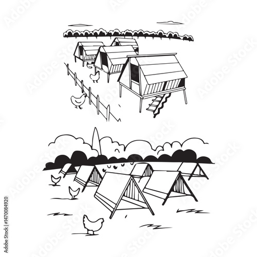 Broiler chickens in poultry house
