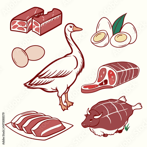 collection of raw chicken meat