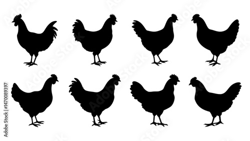 Chicken Silhouette Vector | Black Hen Clipart PNG for Farm Designs