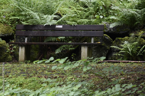 light in the tunnel, tunnel, light, city, road, travel, architecture, arch, bridge, corridor, night, building, interior, street, subway, dark, perspective, underground, stone, column, traffic, long
