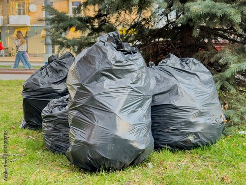 Several black trash bags sit on the grass next to a tree, indicating recent cleanup efforts in a busy public park