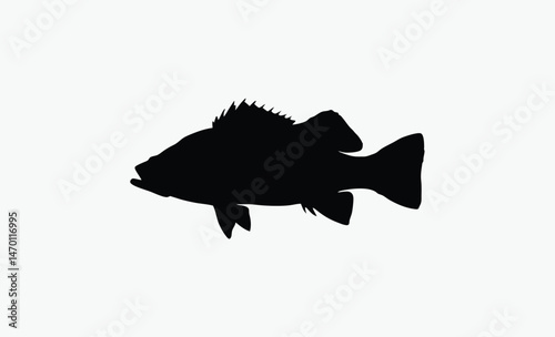 walleye fish silhouette, sharp fin outline, elongated fish body, black white walleye, dorsal fin detail, freshwater fish vector