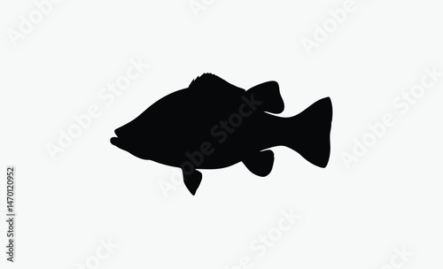 crappie fish silhouette, rounded fish body, spiny fin detail, fan tail outline, black white crappie, freshwater fish vector, side view fish