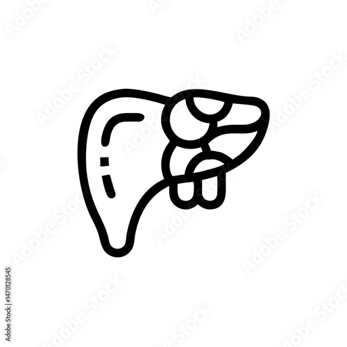 Simplified liver illustration in line art style  