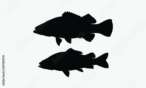 bass fish silhouette, big fish outline, bold fish profile, freshwater fish vector, black white bass, spiny fin shape, side view bass