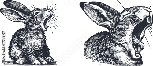 Engraving Design set Playful Rabbit Caught in Mid-Yawn with Floppy Ears, Capturing a Moment of Relaxed Charm