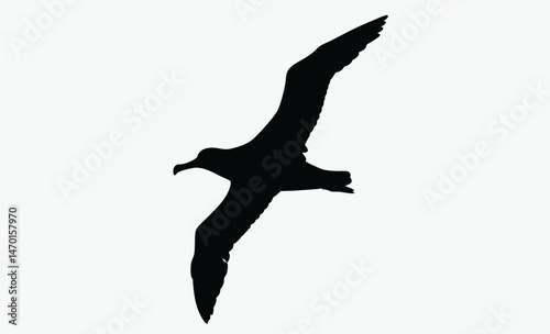 Foto albatross bird silhouette, flying seabird vector, wide wingspan shape, black whi