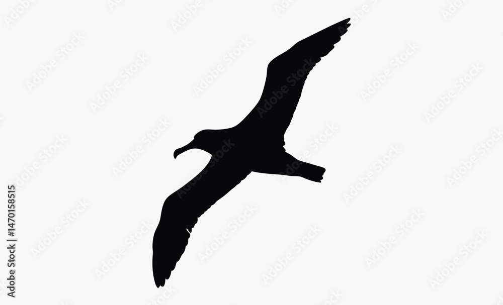 albatross bird silhouette, flying seabird vector, wide wingspan shape, black white albatross, ocean bird outline