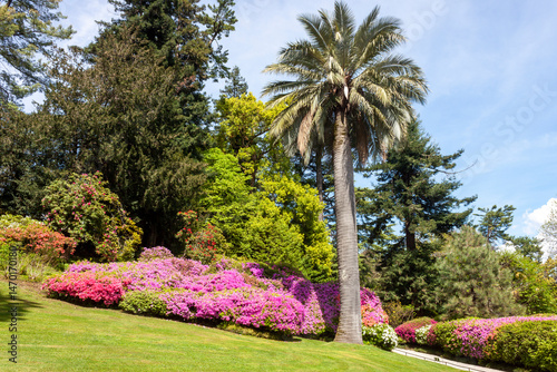 example of an Italian garden, with well-kept lawns, azaleas and a large variety of plants