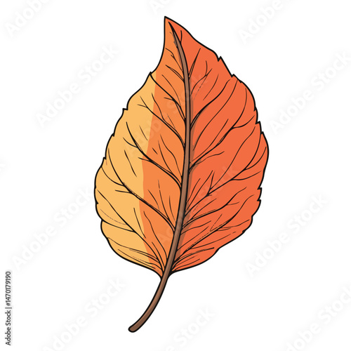 Single Autumn Leaf Illustration With Orange And Yellow Tones Isolated On White