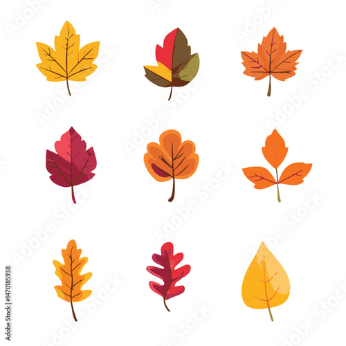 Colorful Autumn Leaves Collection In Vector Style For Seasonal Designs And Decorations