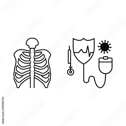 vector illustration of a human body