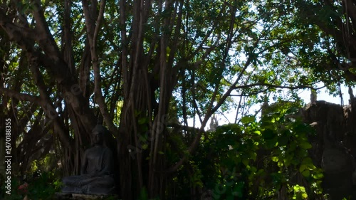 Buddha statue in a lush garden surrounded by banyan roots at Wat Rong Khun, Chiang Rai, Thailand.