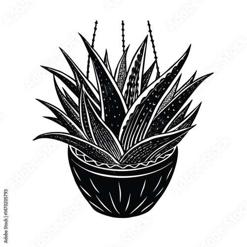 an aloe vera plant in a hanging clay pot vector silhouette