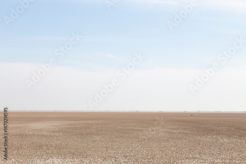 A vast, dry, cracked desert landscape stretches to the horizon under a clear blue sky. The barren terrain and distant horizon evoke a sense of isolation and desolation. Bushehr, Iran.
