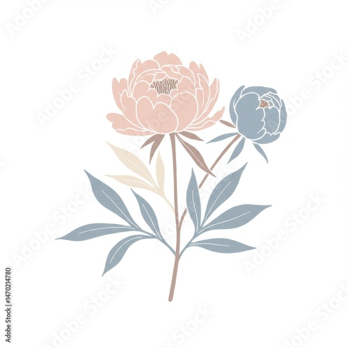 Pastel Pink and Blue Peonies Floral Illustration