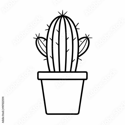 cactus in a pot