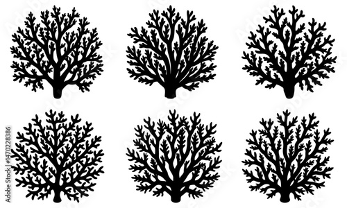 Coral Silhouette vector illustration