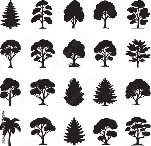 Tall Pine Tree in Forest Silhouette

Lone Pine on Mountain Vector Scene

Rustic Pine Tree Silhouette Design

Minimal Evergreen Tree Vector

Pine Tree Line Art in Nature Setting