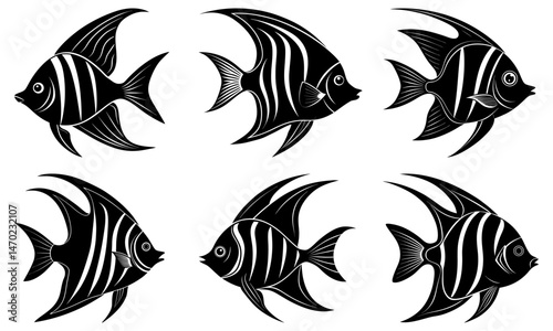 Angelfish Silhouette vector illustration