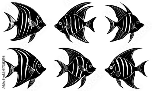 Angelfish Silhouette vector illustration