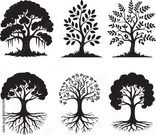 Tall Pine Tree in Forest Silhouette

Lone Pine on Mountain Vector Scene

Rustic Pine Tree Silhouette Design

Minimal Evergreen Tree Vector

Pine Tree Line Art in Nature Setting