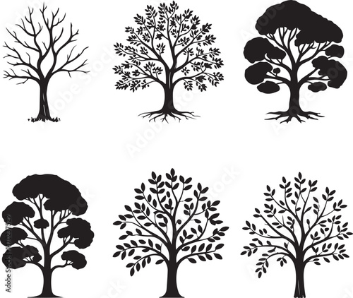 Tall Pine Tree in Forest Silhouette

Lone Pine on Mountain Vector Scene

Rustic Pine Tree Silhouette Design

Minimal Evergreen Tree Vector

Pine Tree Line Art in Nature Setting