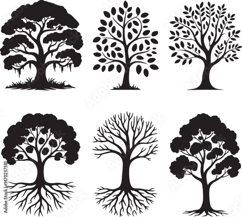 Tall Pine Tree in Forest Silhouette

Lone Pine on Mountain Vector Scene

Rustic Pine Tree Silhouette Design

Minimal Evergreen Tree Vector

Pine Tree Line Art in Nature Setting