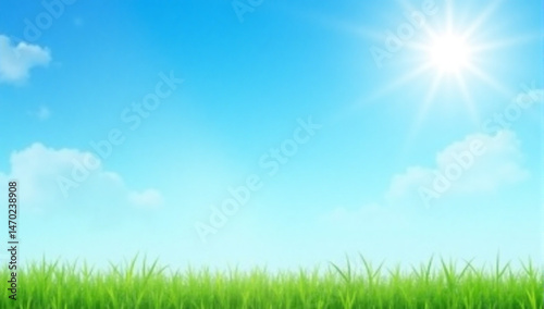 green grass and blue sky
