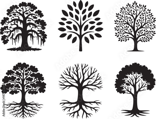 Tall Pine Tree in Forest Silhouette

Lone Pine on Mountain Vector Scene

Rustic Pine Tree Silhouette Design

Minimal Evergreen Tree Vector

Pine Tree Line Art in Nature Setting