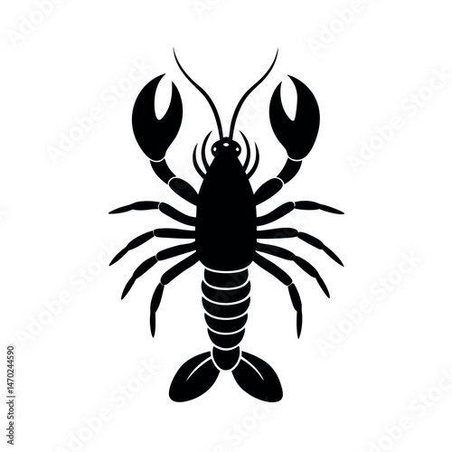 crayfish vector 