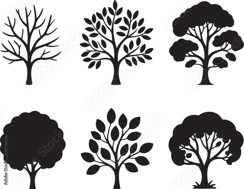 Tall Pine Tree in Forest Silhouette

Lone Pine on Mountain Vector Scene

Rustic Pine Tree Silhouette Design

Minimal Evergreen Tree Vector

Pine Tree Line Art in Nature Setting
