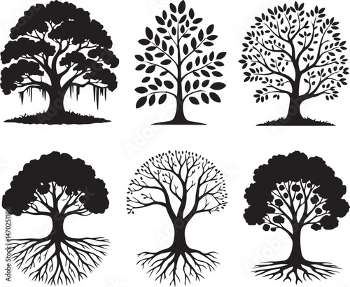 Tall Pine Tree in Forest Silhouette

Lone Pine on Mountain Vector Scene

Rustic Pine Tree Silhouette Design

Minimal Evergreen Tree Vector

Pine Tree Line Art in Nature Setting