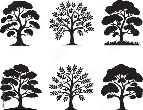 Tall Pine Tree in Forest Silhouette

Lone Pine on Mountain Vector Scene

Rustic Pine Tree Silhouette Design

Minimal Evergreen Tree Vector

Pine Tree Line Art in Nature Setting
