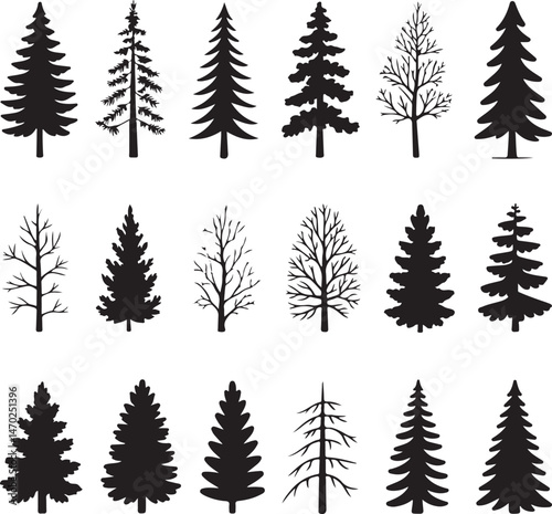 Tall Pine Tree in Forest Silhouette

Lone Pine on Mountain Vector Scene

Rustic Pine Tree Silhouette Design

Minimal Evergreen Tree Vector

Pine Tree Line Art in Nature Setting