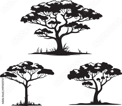 Tall Pine Tree in Forest Silhouette

Lone Pine on Mountain Vector Scene

Rustic Pine Tree Silhouette Design

Minimal Evergreen Tree Vector

Pine Tree Line Art in Nature Setting