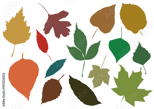 Vector Background of Colorful Autumn Leaves on White Backdrop, Seasonal Fall Decor


